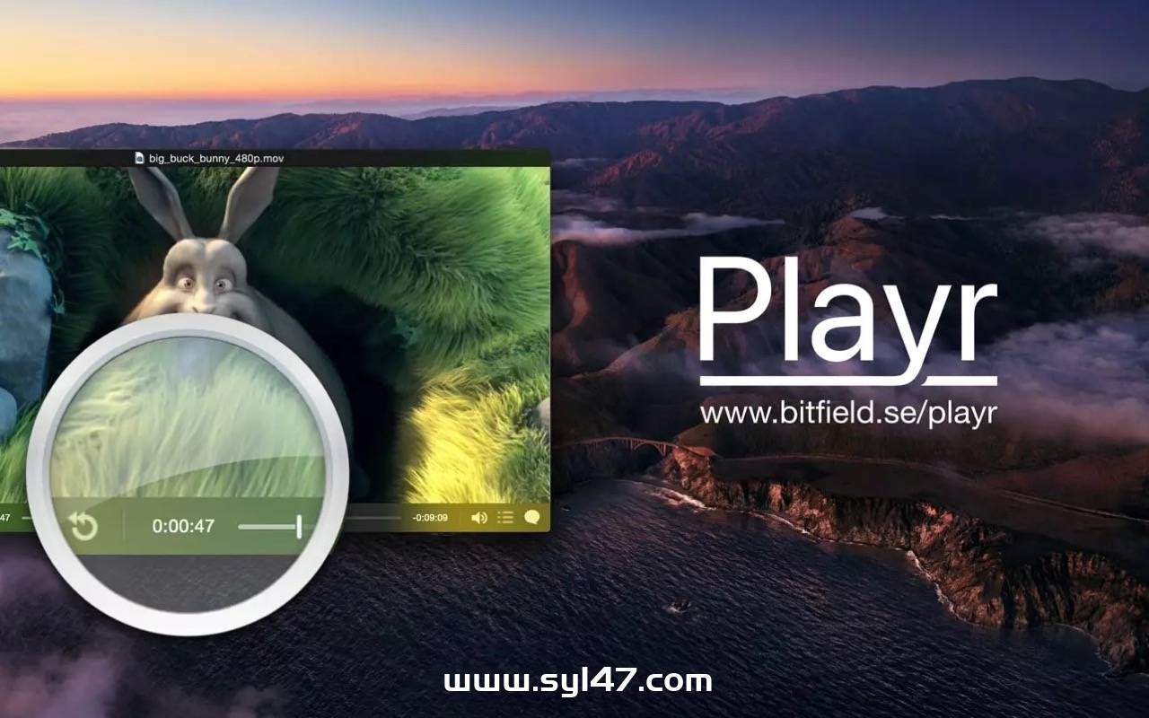 Playr for Mac(媒体播放软件) V2.7激活版插图3