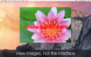 LilyView for Mac（图片浏览软件）V1.5.1 (fix)激活版插图2