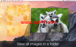 LilyView for Mac（图片浏览软件）V1.5.1 (fix)激活版插图