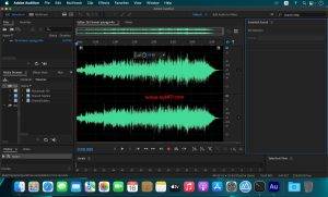 Adobe Audition for mac 数字音频编辑V2022 v24.0.0.46免激活插图