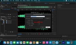 Adobe Audition for mac 数字音频编辑V2022 v24.0.0.46免激活插图1