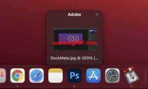 DockMate for Mac(应用程序管理工具)v0.8.7激活版插图1