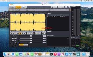 Acon Digital AudioLava Mac(音频清理软件 )V2.1.4激活版插图2
