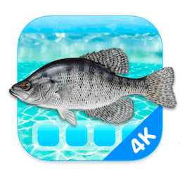 Aquarium 4K for Mac(4K高清屏幕保护工具) v1.0.5激活版