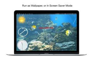 Aquarium 4K for Mac(4K高清屏幕保护工具) v1.0.5激活版插图1