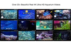 Aquarium 4K for Mac(4K高清屏幕保护工具) v1.0.5激活版插图2